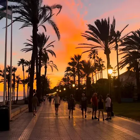 Soho-malaga Center *